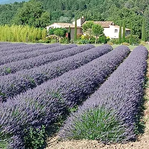 Mas De Longuefeuille Malaucene